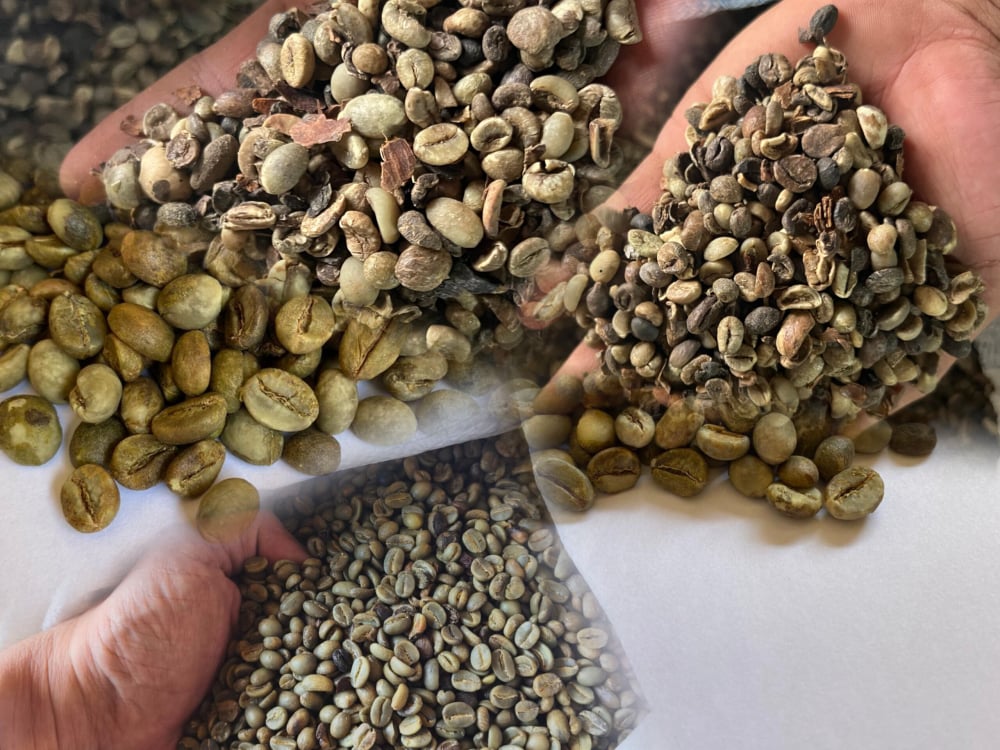 Premium Indonesian Coffee & Spices